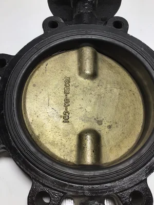 38032-UA-C91 8″ Butterfly Valve