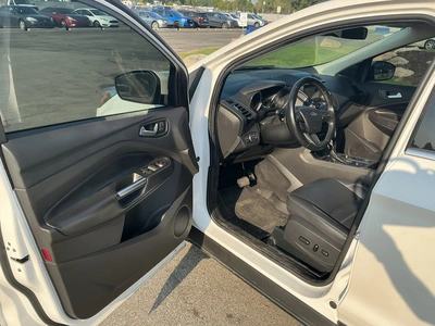 Used 2019 FORD ESCAPE SUVs Michigan US | Miedema Asset Management Group #1320461