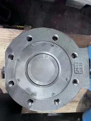4" 300# Dezurik BHP Butterfly High Performance Valve