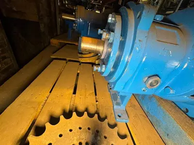 USED GOULDS 3196