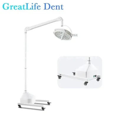 Used Berchtold Berchtold Chromophare F-300 Lighting Texas US | PT Medical Technologies #1458807