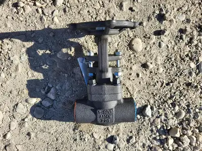 1" Class 800 Gate Valve API 602
