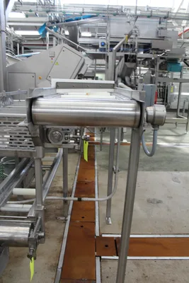 Transfer Conveyor and Sorting Table