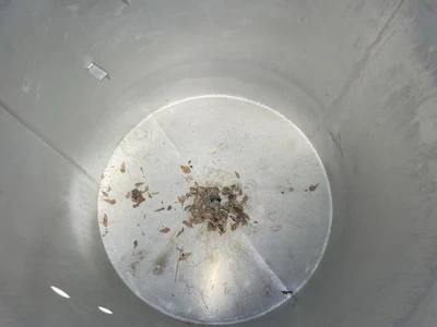 USED Stainless Steel Tank 550 G SS