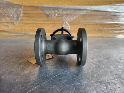 3/4" Class 150 Gate Valve B16.34