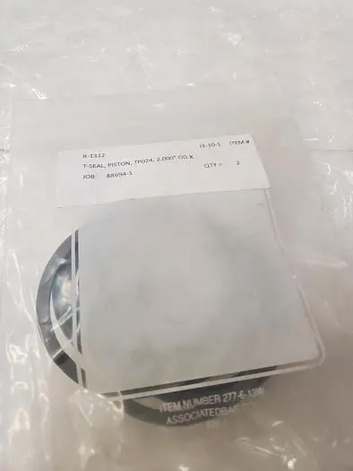 R-1312 T-SEAL, PISTON, TP024