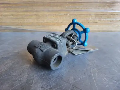 3/4" Class 800 Gate Valve B16.34