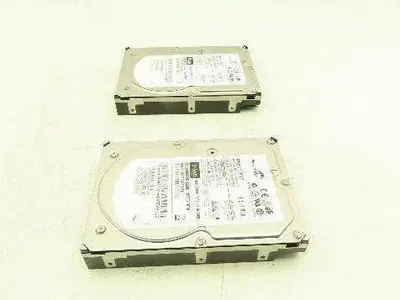 Sun/Seagate Cheetah 10K.7 Hard Drive Fibre Channel 10k rpm 3.5" 300Gb Lot of 2