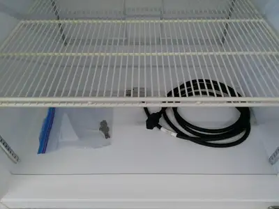 Fisherbrand Isotemp GTFBG30RPSA 4°C Laboratory Refrigerator 27Cf (2020) TESTED