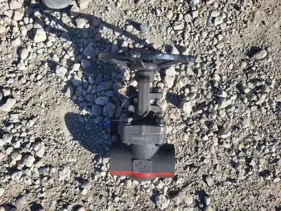 1 1/2" Class 800 Gate Valve API 602