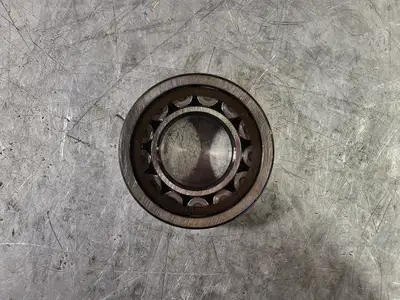 NEW SKF NU310ECP/C3