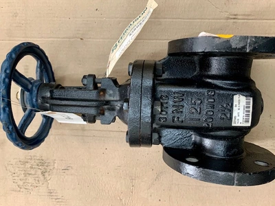 2.5" -125# FNW Gate Valve , 200WOG Figure 651A Unused
