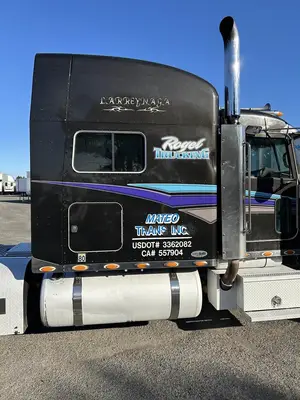 USED 2009 PETERBILT 389