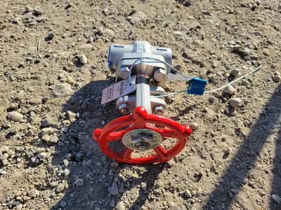 3/4" Class 800 Gate Valve B16.34