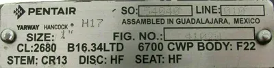 NEW PENTAIR 4102W GLOBE VALVE 1" 2680 B16.34LTD 6700 CWP