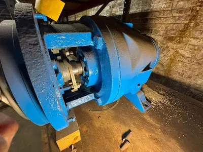 USED GOULDS 3175S