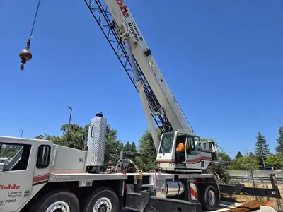 Used 2008 LINK-BELT HTC-8690 Telescopic Boom Lifts California US | Ben Kaplan Equipment #1233508