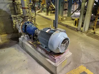 USED GOULDS 3175