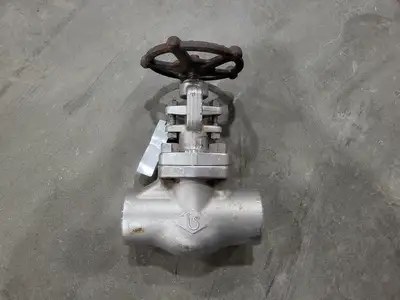 2" Class 800 Globe Valve B16.34