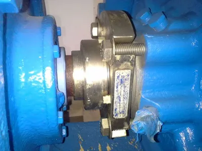 USED Goulds 3175