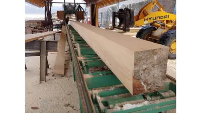 Used TIMBER HARVESTOR 36 FOOT Sawmill Bandsaws Connecticut US | Trustworthy Equipment #1403405
