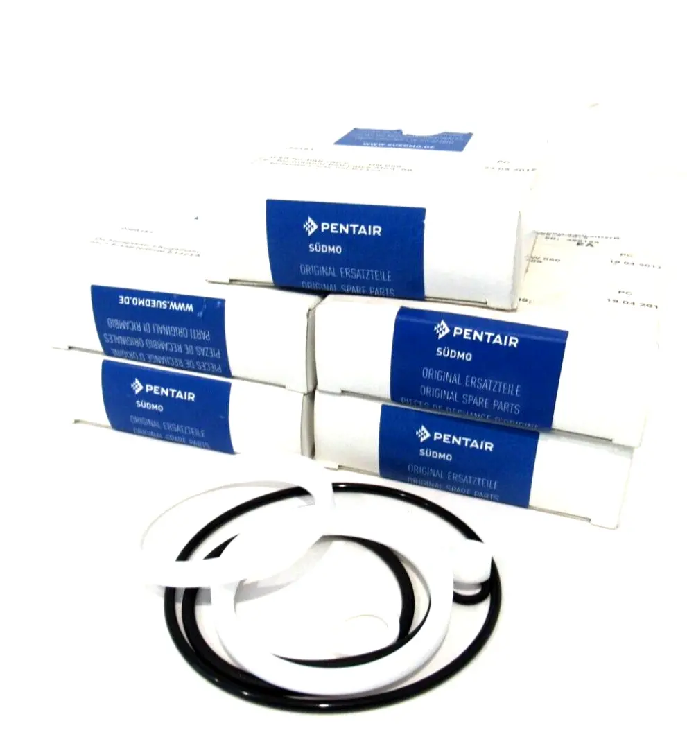 LOT OF 5 NEW PENTAIR 385153 VALVE SEAL KIT DN 050