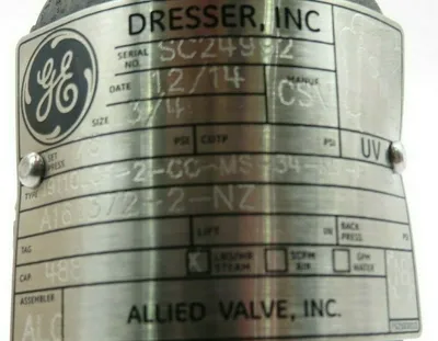 NEW GE 19110L-2-CC-MS-31-MT-FT-GS SAFETYVALVE 2-110-2-MS 19110L2CCMS31MTFTGS