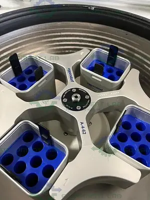 USED EPPENDORF 5810R REFRIGERATED CENTRIFUGE W/ EPPENDORF A-4-62 ROTOR 4000 RPM