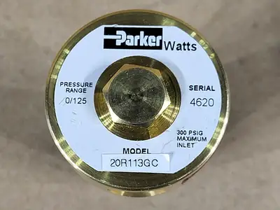 NEW PARKER 20R113GC