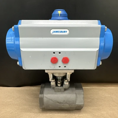 NEW Jamesbury VPVL250SR6BD