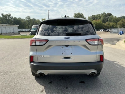 Used 2022 FORD ESCAPE SUVs Michigan US | Miedema Asset Management Group #1402778