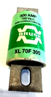 NEW BRUSH XL70F300 FUSE 300A 700VAC