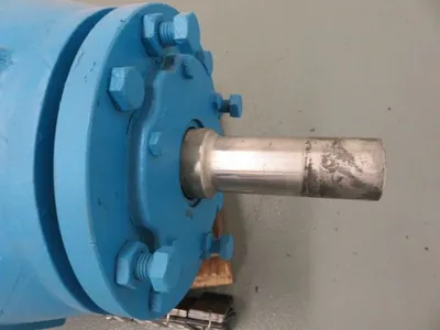 USED Goulds 3175
