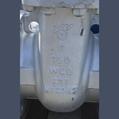 DSI 6 in. Gate Valves