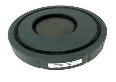NEW GEORG FISCHER 161.369.050 WAFER CHECK VALVE 161369050