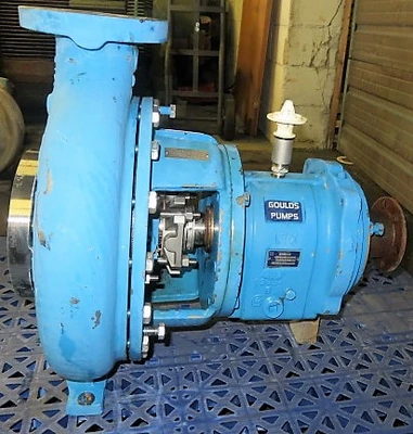 USED Goulds 3196 LTX