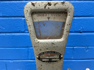 Used THE EXACT WEIGHT SCALE SCALE CO. 100 Material Handling (misc) Ohio US | HGR 24 #1293810