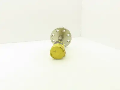 Vega Cap 62.UXAIARANX-12 Capacitive Rod Indicator Probe Sensor 2" Flange