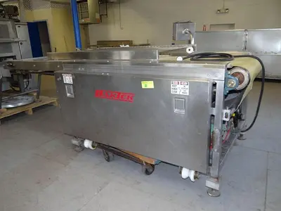 Baktek Reciprocating Transfer Conveyor