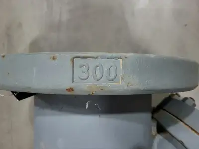 10" Class 300 Globe Valve B16.34
