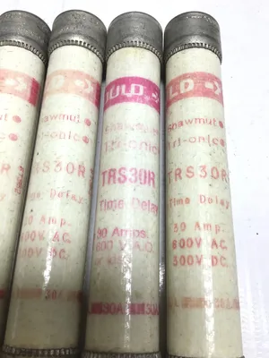 Gould TRS30R 30 AMP 600V Time Delay Fuse (Lot of 4)