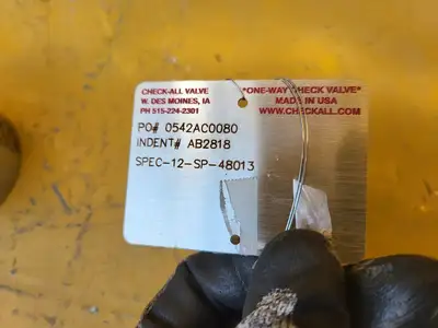 1" Class 150 Check Valve B16.34