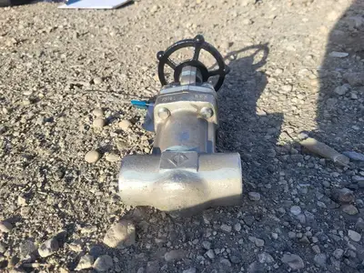 1" Class 800 Globe Valve API 602