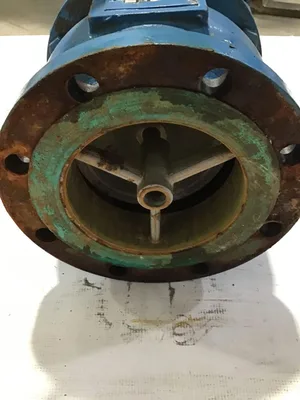 American Wheatley SBG060 6″ Globe Style Silent Check Valve w/butterfly valve