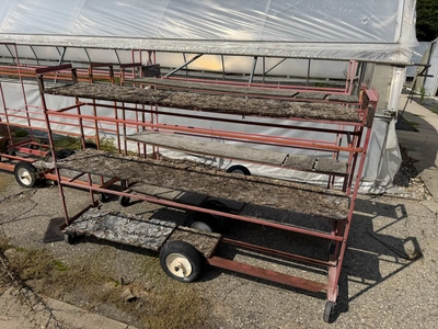 Used _UNKNOWN_ _UNKNOWN_ Greenhouse Equipment Michigan US | Miedema Asset Management Group #1396180