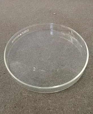 PYREX PETRI DISH BOTTOM ONLY