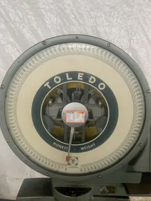USED TOLEDO 2181