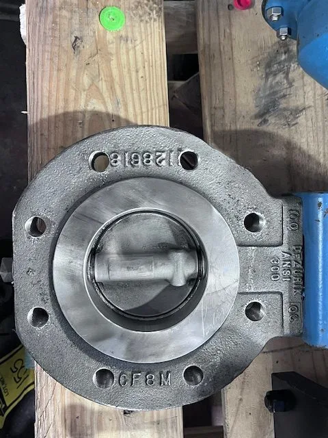 4" 300# Dezurik BHP Butterfly High Performance Valve