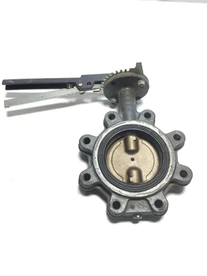 Milwaukee Valve CL223ED-38055-NA-C91 Butterfly Valve