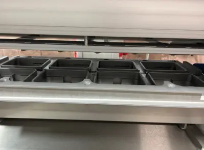 Used 2021 MULTIVAC TX 810 Tray Sealers Illinois US | M&M Equipment Corp. #1341236